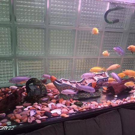City Light Otel Истанбул Екстериор снимка